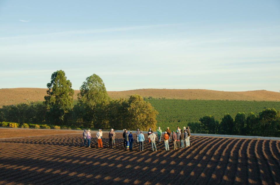 BOOKMARK: Espresso Blend