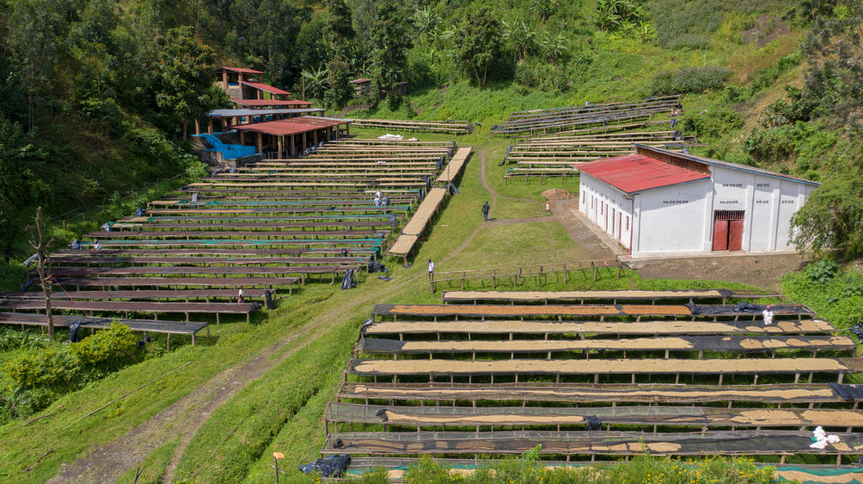 Rwanda JMV Usekanabagoyi