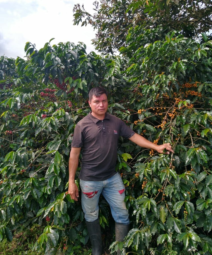 BOOKMARK: Espresso Blend