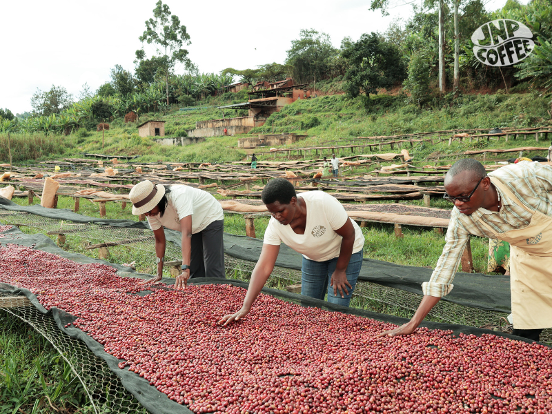 Burundi - Ntwari Natural