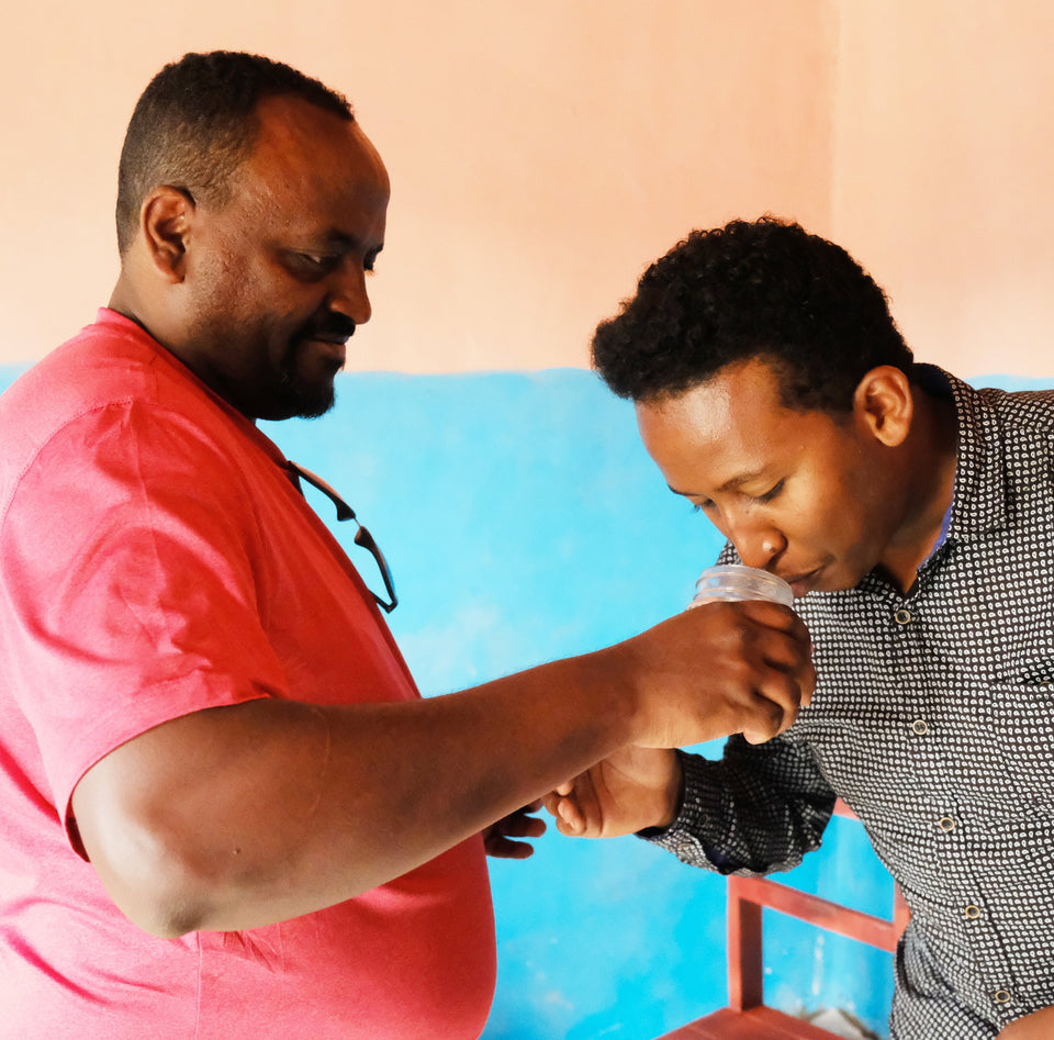 Ethiopia - Demeka Becha Washed